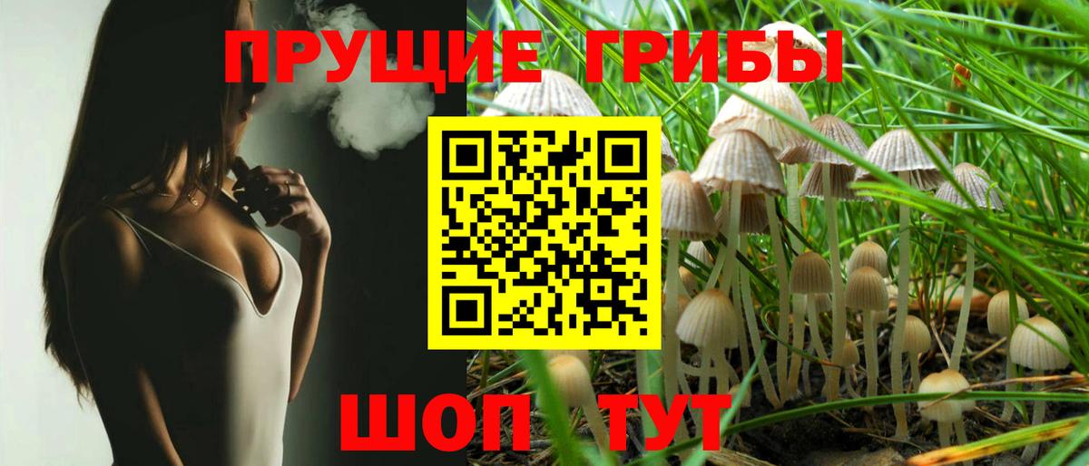 Галлюциногенные грибы GOLDEN TEACHER Гусь-Хрустальный